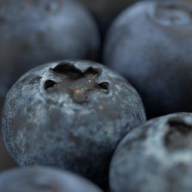 blueberry 3D model